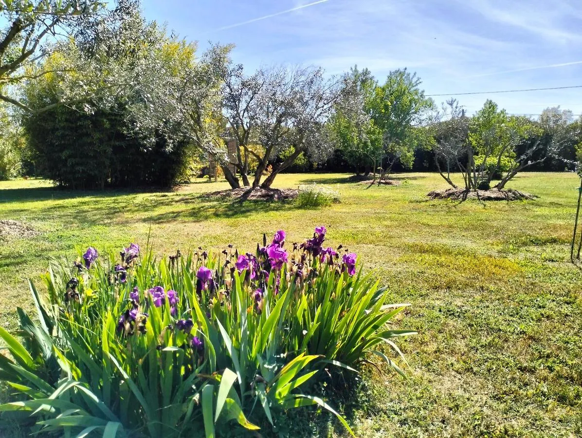 Petit Mazet Fruits Rouges Villa Eyragues Holiday home